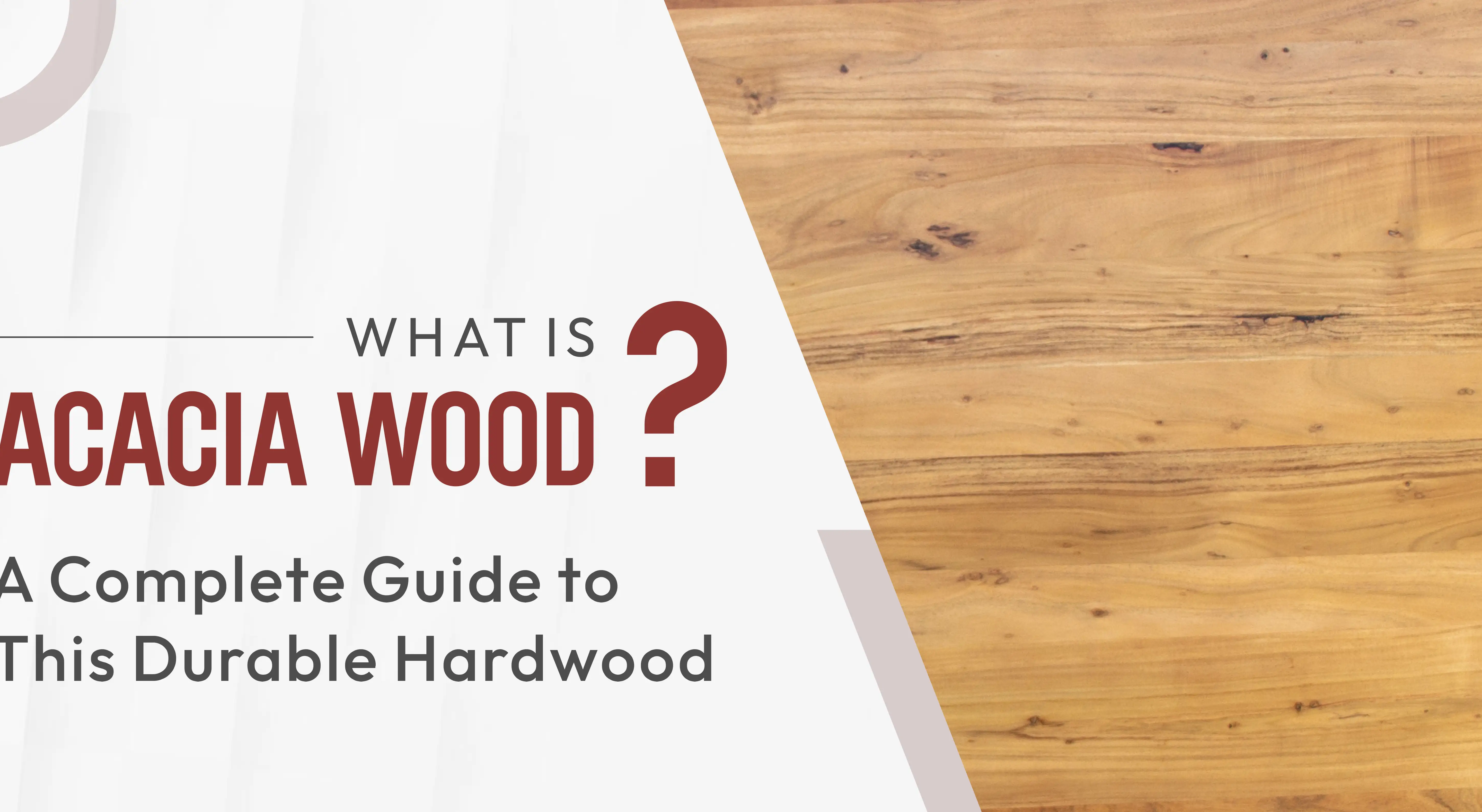 What Is Acacia Wood? A Complete Guide to This Durable Hardwood
