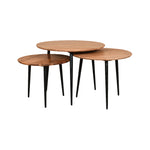 Load image into Gallery viewer, Set of 3 Coffee Tables

